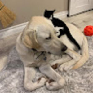 Meet your Posher, Kelly